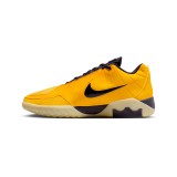 NIKE LEBRON WITNESS IX HQ8034-700 Yellow Image 0