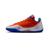 Ανδρικά Παπούτσια Μπάσκετ Ρουά - Nike LeBron XXIII Εικόνα 0