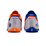 Ανδρικά Παπούτσια Μπάσκετ Ρουά - Nike LeBron XXIII Εικόνα 2