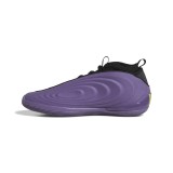 Ανδρικά Παπούτσια Μπάσκετ Πολύχρωμα - adidas Performance Harden Volume 10 Εικόνα 1