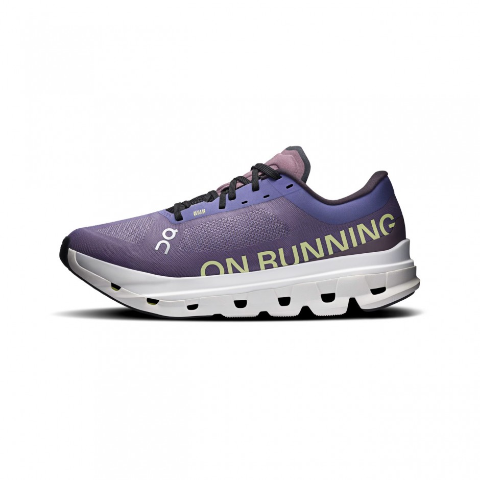 Men's Running Shoes Purple - On Cloudflow 5 