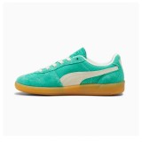 PUMA PALERMO VINTAGE 396841-05 Alcohol Image 0