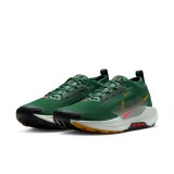 Ανδρικά Παπούτσια Trail Running Πράσινα - Nike Pegasus Trail 5 GORE-TEX Εικόνα 1