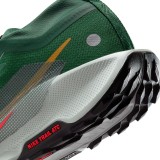 Ανδρικά Παπούτσια Trail Running Πράσινα - Nike Pegasus Trail 5 GORE-TEX Εικόνα 3