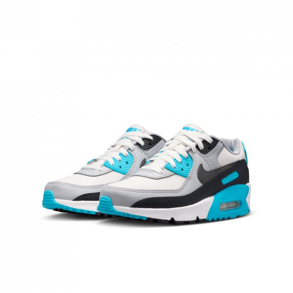 NIKE AIR MAX 90 LTR CD6864-034 Grey