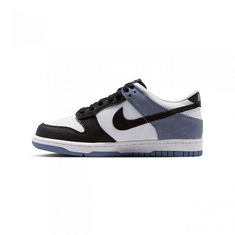 NIKE DUNK LOW ESSENTIAL+ IQ2755-103 Colorful