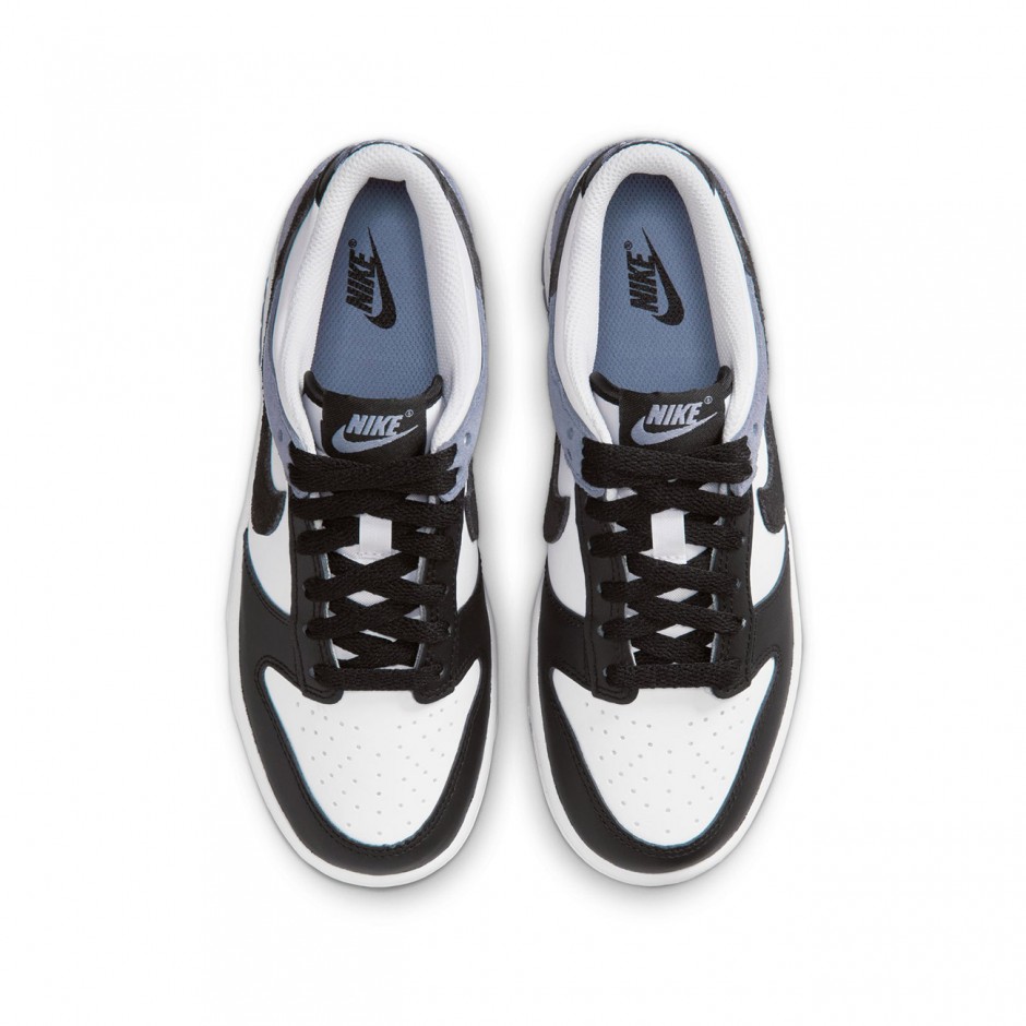 NIKE DUNK LOW ESSENTIAL+ IQ2755-103 Colorful