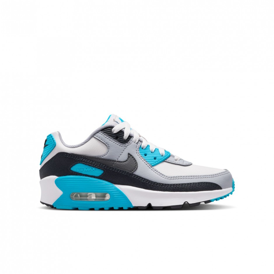NIKE AIR MAX 90 LTR CD6864-034 Grey