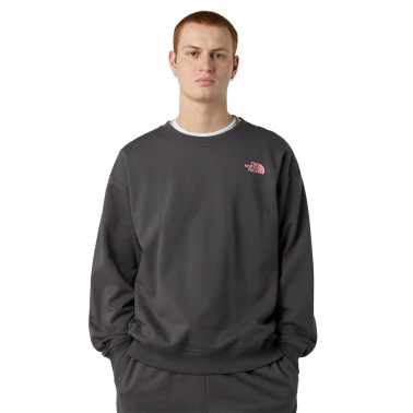 THE NORTH FACE EXPEDITION CELEBRATION OVERSIZED NF0A8E3GRHI-RHI Coal