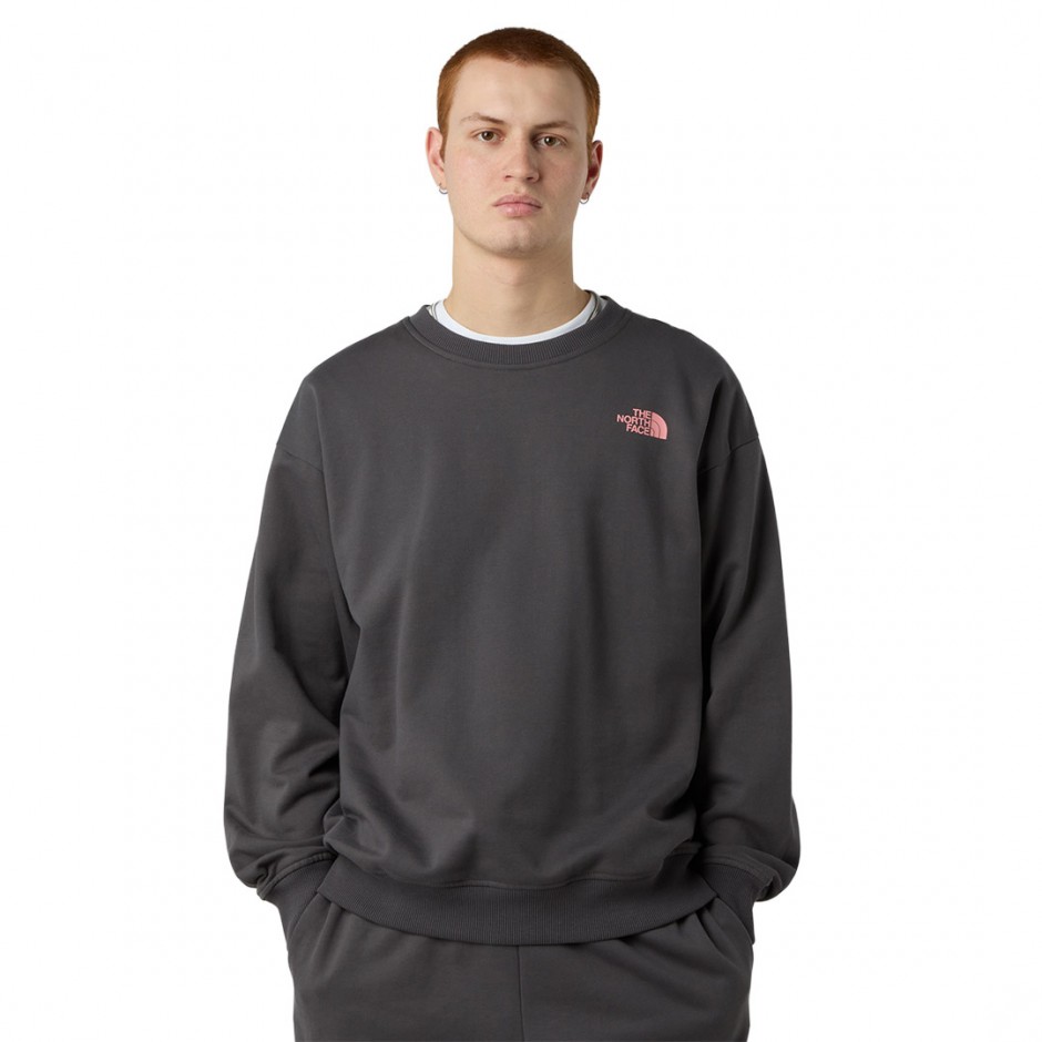 THE NORTH FACE EXPEDITION CELEBRATION OVERSIZED NF0A8E3GRHI-RHI Coal