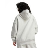 CONVERSE GOLD STANDARD LOOSE-FIT PULLOVER HOODIE 10025917-A02 Grey Image 0