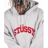 STUSSY CHENILLE ARCH APPLIQUE HOOD 118336-ASH HEATHER Γκρί Εικόνα 1