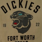 Ανδρικό Φούτερ Λαδί - Dickies Panther Εικόνα 2
