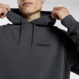 DICKIES MCDERMITT HOODIE DK0A8CHW0CH-0CH Ανθρακί Εικόνα 1