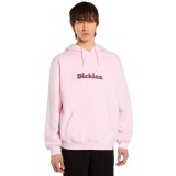 DICKIES SLAYDEN GD HOODIE DK0A87NPK73-K73 Pink Image 