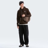 Men's Hoodie Brown - The North Face Evolution Simple Dome Regular Image 1