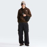 Men's Hoodie Brown - The North Face Evolution NSE Box Image 1
