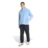 Ανδρική Μακρυμάνικη Μπλούζα Σιέλ - adidas Originals Borg Fleece Teamgeist 1/4 Zipper Εικόνα 3