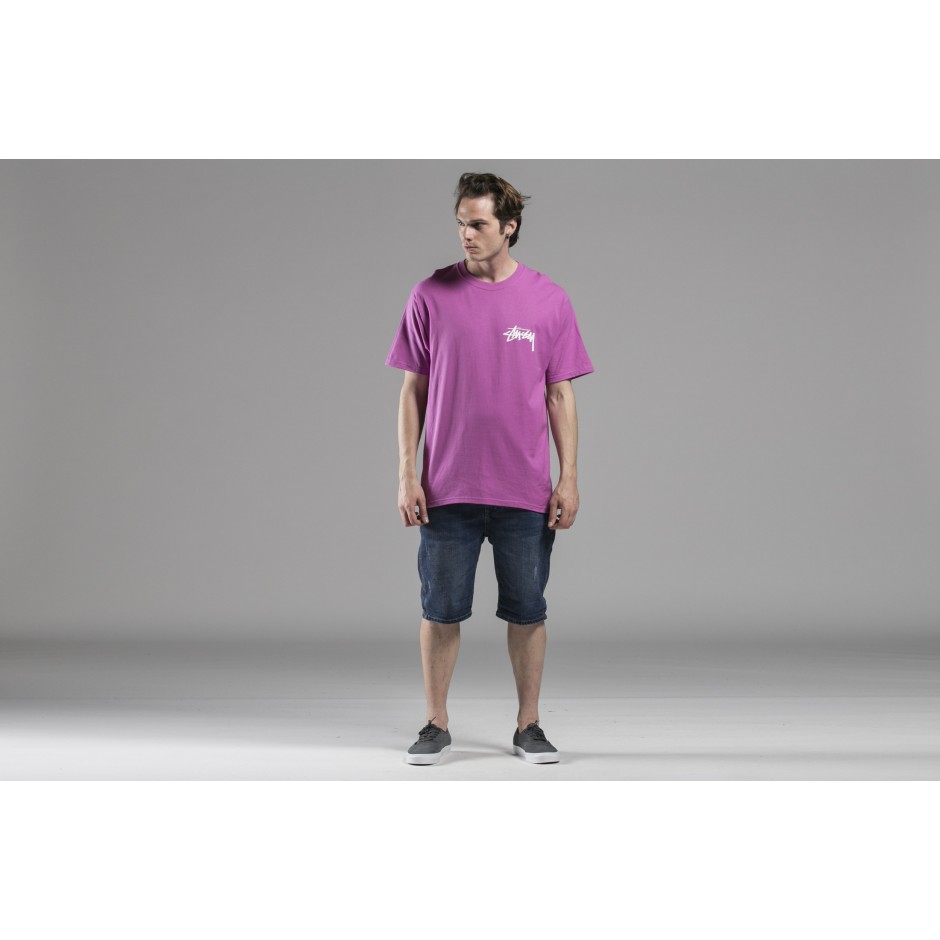 STUSSY AMERICAN CLASSICS 1904338-BERRY Ροζ