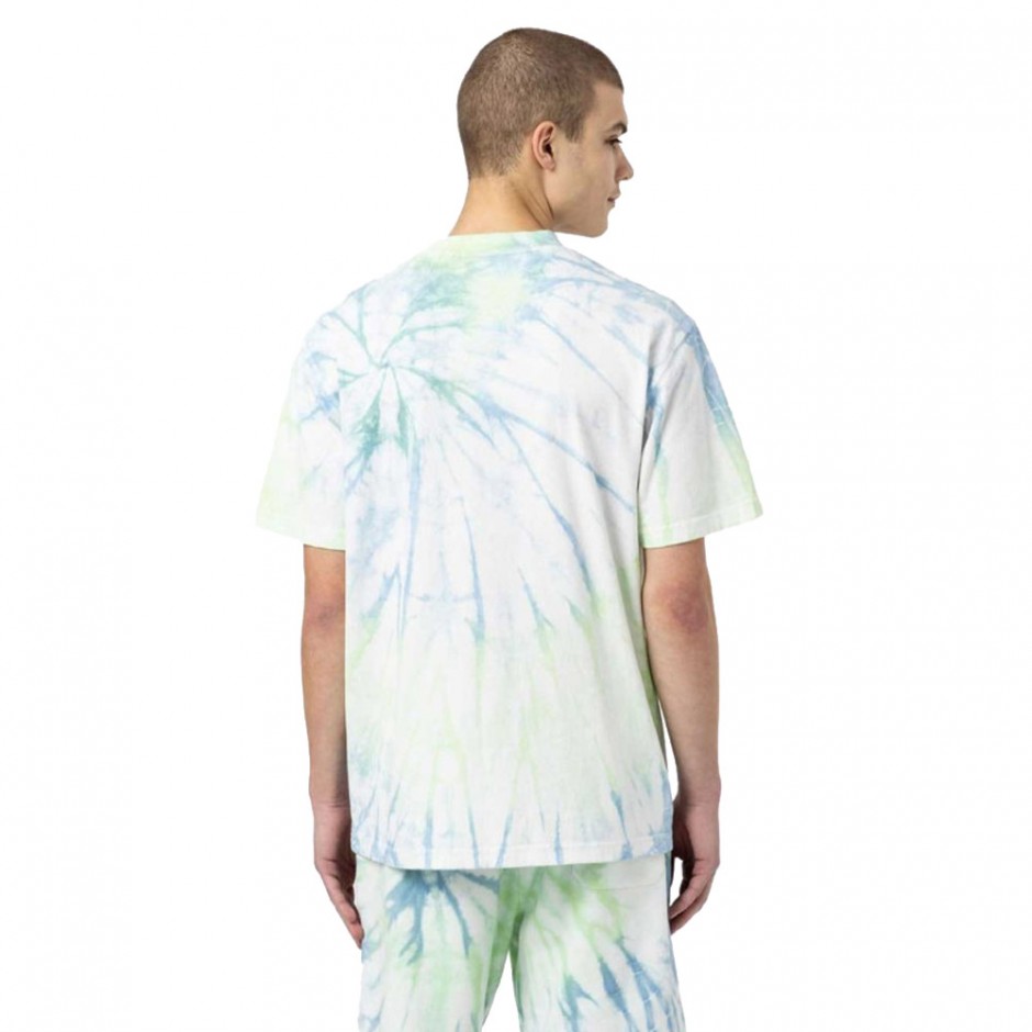 DICKIES SEATAC TEE SS DK0A4XNZC34-C34 Colorful