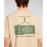 Ανδρικό T-Shirt Εκρού - Dickies Apison Εικόνα 3