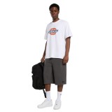 DICKIES ICON SS TEE DK0A88FG0WH-0WH White Image 2