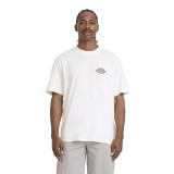 Ανδρικό T-Shirt Εκρού - Dickies Paradise Εικόνα 
