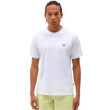 Ανδρικό T-Shirt Λευκό - Dickies Mapleton Εικόνα 