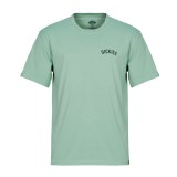 Ανδρικό T-Shirt Οινοπνευματί - Dickies Snake Εικόνα 