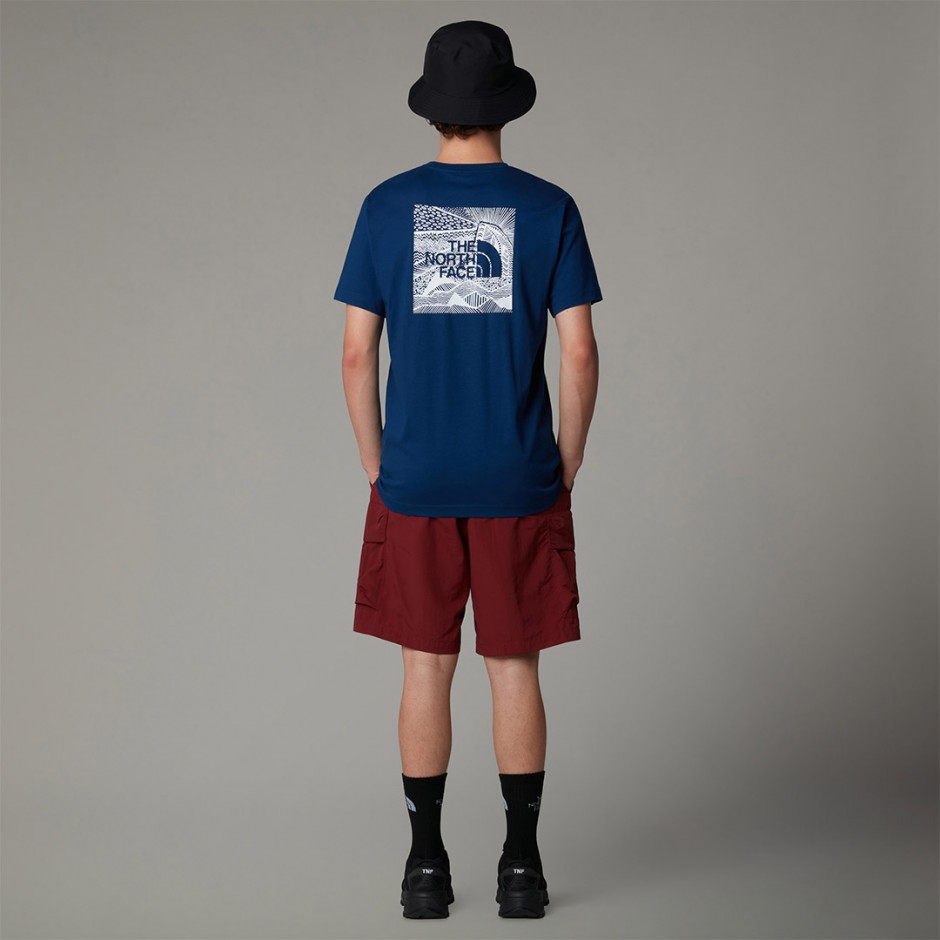 THE NORTH FACE BOX NSE CELEBRATION TEE NF0A87NVD1R-D1R Blue