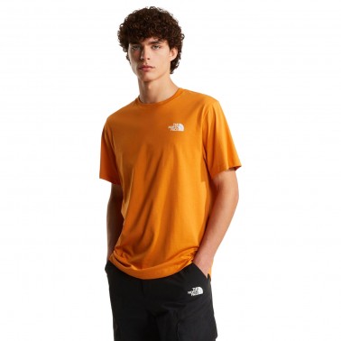 Men's T-Shirt Mustard - The North Face Evolution NSE Box
