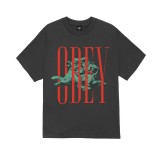 OBEY PILLARS TEE 165264495-VBL Μαύρο Εικόνα 