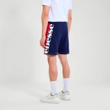 Ανδρική Βερμούδα Πολύχρωμη - Ellesse USA Classics Errico Εικόνα 0