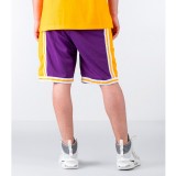 Ανδρική Βερμούδα NBA Μωβ - Mitchell & Ness Los Angeles Lakers Εικόνα 0