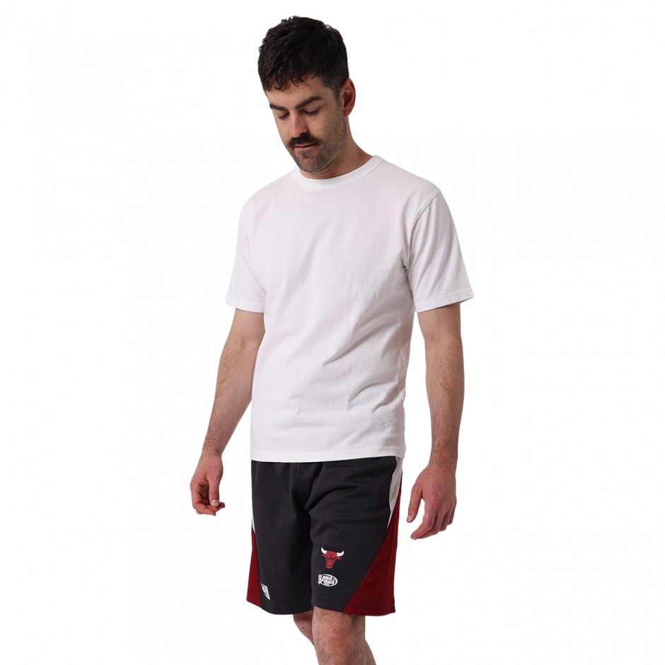 Men's NBA Shorts Black - Mitchell & Ness Chicago Bulls Warehouse Panel