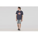 DICKIES RHODE ISLAND SHORT 01-240016-LIGHT BLUE Jeans Image 2