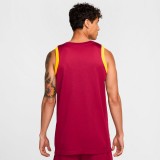 Ανδρική Εμφάνιση Μπάσκετ Μπορντό - Nike Spain Limited Road Εικόνα 0