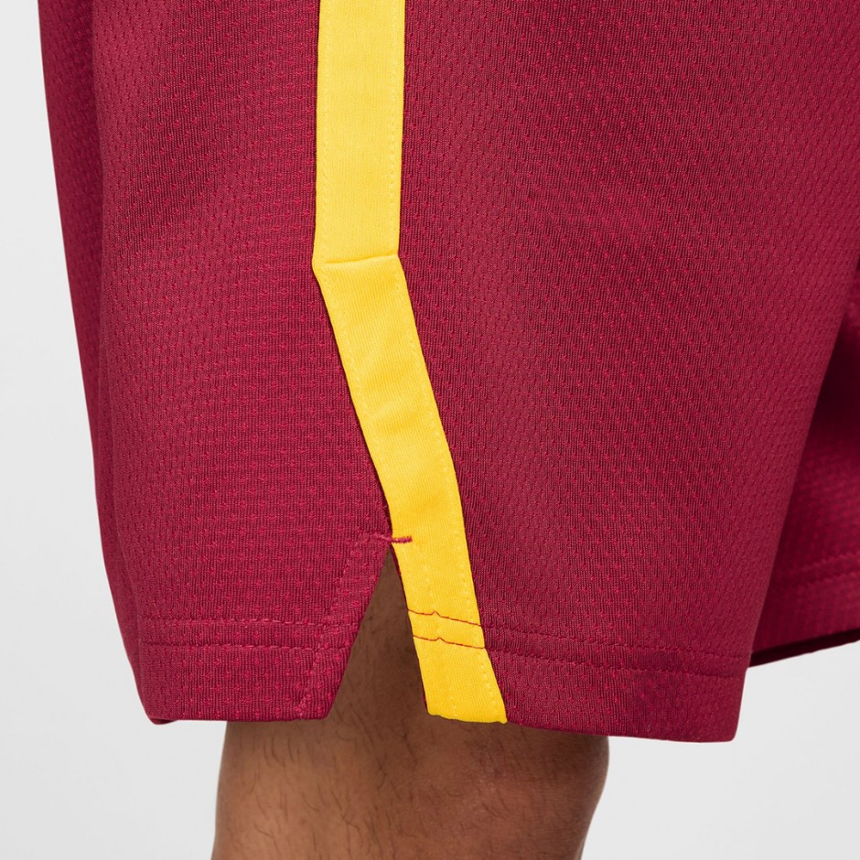 Ανδρική Εμφάνιση Μπάσκετ Μπορντό - Nike Spain Limited Road