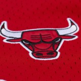 Men's NBA Baseball Jersey Red - Mitchell & Ness Chicago Bulls Head Coach Image 1