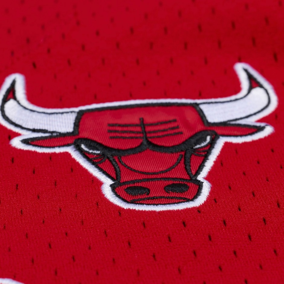Men's NBA Baseball Jersey Red - Mitchell & Ness Chicago Bulls Head Coach