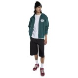 DICKIES MINDEN ZIPPED HOODIE DK0A8DN5B42-B42 Green Image 4
