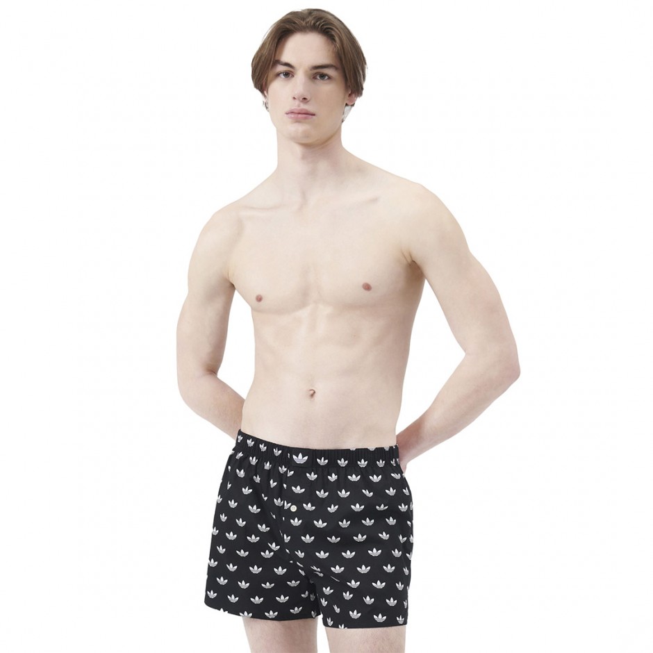 Ανδρικά Εσώρουχα Μποξεράκια Πολύχρωμα - adidas Originals Comfort Core Cotton Icon Woven Boxer 2Pack