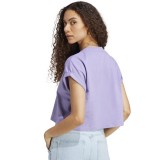 adidas Originals ADICOLOR CLASSICS SHORT TREFOIL TEE Λιλά