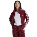 adidas Originals FIREBIRD TT  PB Μπορντό Εικόνα 
