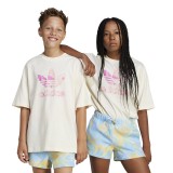 adidas Originals TEE JD2916 Ecru Image 3