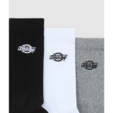 DICKIES SUMMERDALE 3PK DK0A88QJWHX-WHX Colorful Image 1