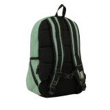 DICKIES ASHVILLE BACKPACK DK0A4Y33L19-L19 Alcohol Image 0