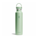 HYDRO FLASK 21 OZ (621 ml) STANDARD FLEX CAP ALOE S21CSX338-ALOE Veraman Image 