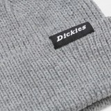 DICKIES WOODWORTH BEANIE DK0A4X7YGYM-GYM Grey Image 1
