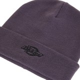 Σκουφάκι Μωβ - Dickies Summerdale Εικόνα 1